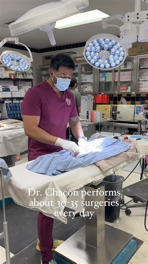 4.7K views · 138 reactions | Celebrating World Veterinarian Day with...