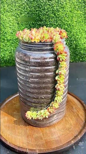 Turn a plastic bottle into a beautiful homemade flower pot 🌸