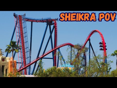 SheiKra POV | Dive Coaster at Busch Gardens Tampa!