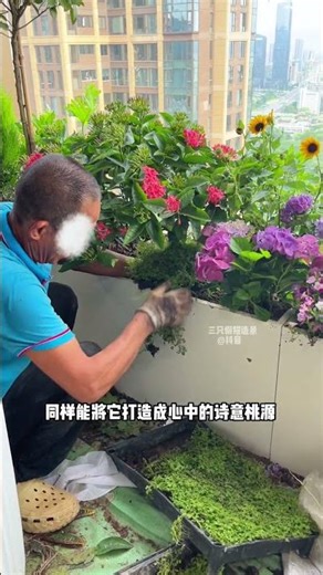 Creating a poetic paradise on 30-square-meter high-rise balcony