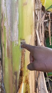 2.1M views · 10K reactions | Whoo remember this actiion | Paflex Comedies | Facebook