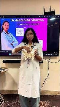 Pelvic Structure Anatomy & Function Explained | Human Pelvis Basics