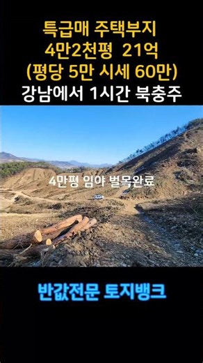 시세10분1 #연수원 #기도원 #맹지탈출 #토지개발 #개발행위허가 #토지급매 #토지뱅크