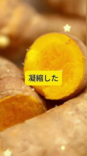 4つの健康素材が凝縮された乳酸菌飲料！！！＃高麗人参 #ショート