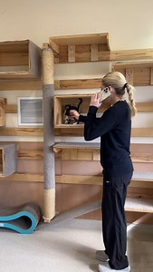 Introducing our amazing cat team 🐱🎉 Whether your looking for a new pet or need support and advice when it comes to bringing a new furry family member home, our cat staff has your back 💖 It’s national cat day and the purrfect time to bring home a new friend🐾 Come down to our Reno shelter today where we have 7 available kitties still looking for their forever home🏠 📍2825 Longley Lane, Suite B ⏰11:00 a.m. - 6:30 p.m. **the kitten featured in this video has found their forever home and is no l