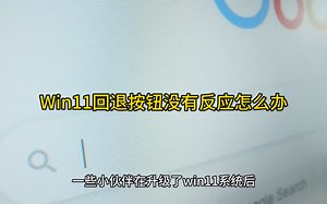 Win11回退按钮没有反应怎么办