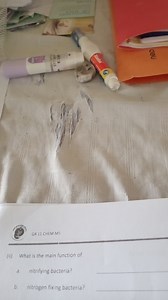 What is the main function of:a. Nitrifying bacteria?b. Nitr... | Filo