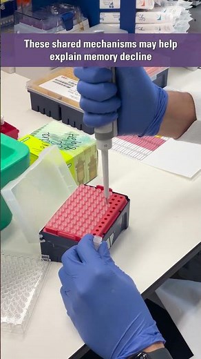 Alzheimer’s and cancer connection explained #shorts #neuroscience