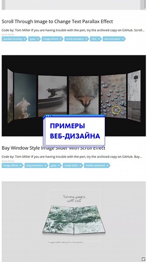 Используй это на своём сайте! #учисьвтикток #программирование #помощь