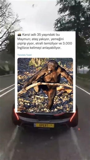 funny #funnyvideos #comedy #funny