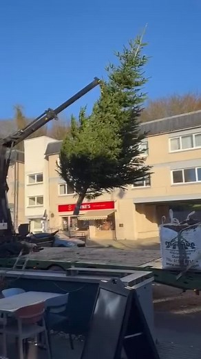 121 reactions · 9 comments |  Our Christmas tree is finally here!  It’s beginning to feel festive on Henderson Street, just in time for this weekend’s Christmas light switch-on! ✨ Make sure to book a table and soak up the Christmas spirit with us  01786 831616 #bridgeofallan #christmas2025 #festïveseason #stirling #dunblane #opentableuk | The Red Herring | Facebook