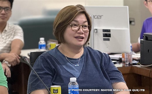 Tuguegarao City mayor nilinaw pahayag na ‘animals mapapalitan’ sa gitna ng bagyo