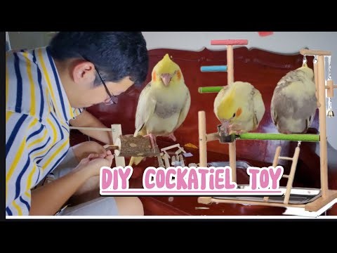 DIY Cockatiel Toy That Will Blow Their Mind! 😲 (Easy & Cheap)|CockatielDIY|DIYPetToys