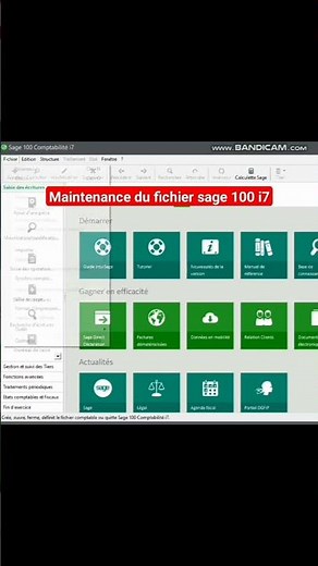 How to maintain the Sage 100 file?