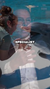 45 reactions | Dr. Bagnell uses a Dolphin based therapy to help with...