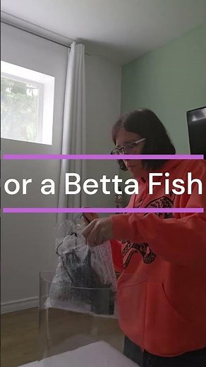 What to do with a 3-gallon fish tank?