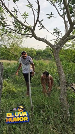 Buscando a NEMO 😂 #humor #comedia