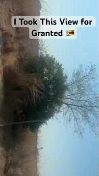 Zimbabwe’s Hidden Beauty 🌾 | Harare–Chivhu Drive Memories