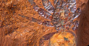 Look: 2,000 exquisite fossils reveal a critical era of Australia's past