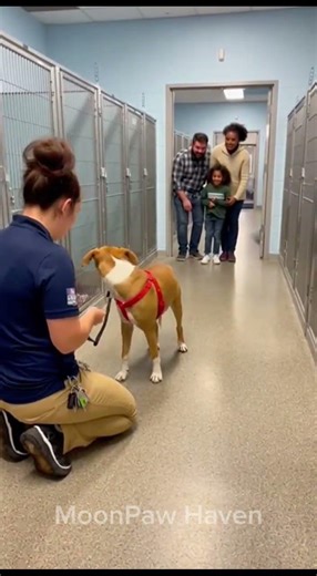 Shelter Dog Finally Runs Into the Family Waiting for Him #dogadoption #shelterdog #rescuedog