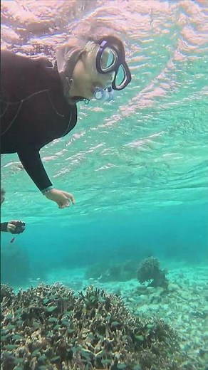 Arriving in Ishigaki Island at 11:00 AM, we'll go snorkeling in the afternoon! May 3rd tour video