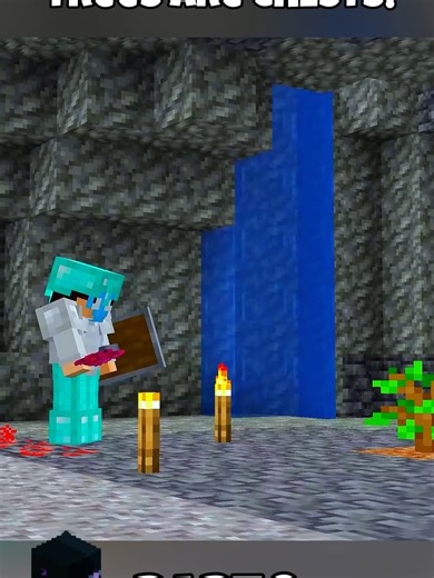 Minecraft Gameplay: Trees as Chests Challenge