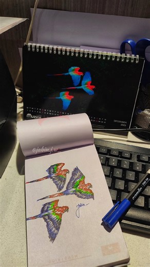 Parrot Sketch Challenge Let's Get Creative #parrots #sketching #creative #drawingbirds #sketchart