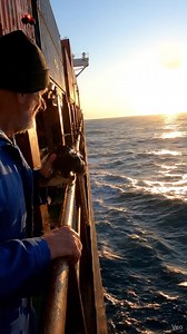 Giant Fish Attacks Cargo Ship - Caught on Real Camera!"A massive cargo ship was crossing the open sea when an unbelievable moment happened - a gigantic fish smashed into the side of the vessel. The sailor captured everything on his phone, and the footage looks 100% real. Watch till the end! | Ocean Danger Zone