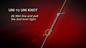 8.9K views · 144 reactions | #berkleyfishingtips 3 Basic Knots That...
