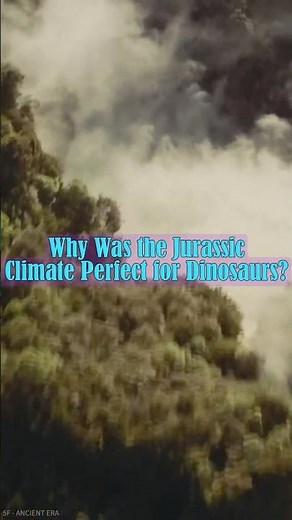 What Was the Climate and Environment Like During the Jurassic Period? | 5f - Ancient Era