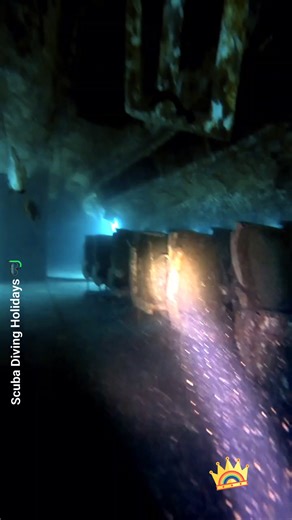 148K views · 2.3K reactions | Just explored a sunken airplane in the Red Sea and it felt like diving into a dream. ️ Swimming through the cockpit, gliding past coral-covered wings, and watching marine life reclaim this metal giant—absolutely surreal. This is one dive I’ll never forget. #BucketList ✅ #RedSeaDiving #UnderwaterAdventure #SunkenPlane #WreckDiving #ExploreUnderwater #TravelGoals2025 | Scuba Diving Holidays | Facebook