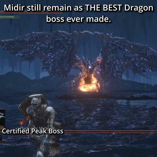 Greatest dragon boss fight EVER MADE