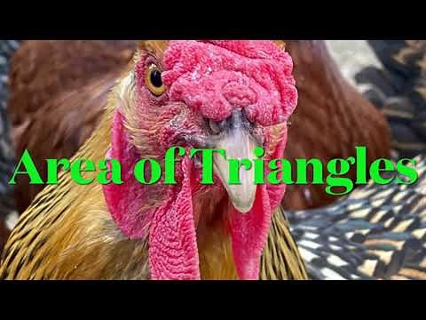 Area of Triangles Song