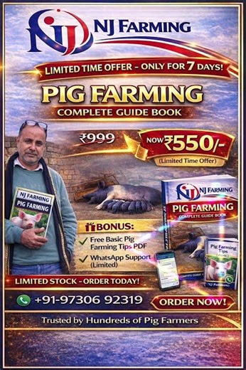 Pig Farming Complete Guide Book #pigfarmbook #pig #pigbreeding #pig_farm_traning