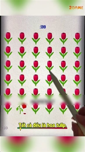 Find the green cabbage | Hidden object | Puzzle games