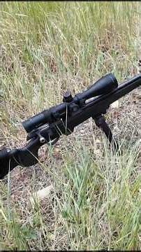 22LR Tikka T1x MTR Minuteman Review
