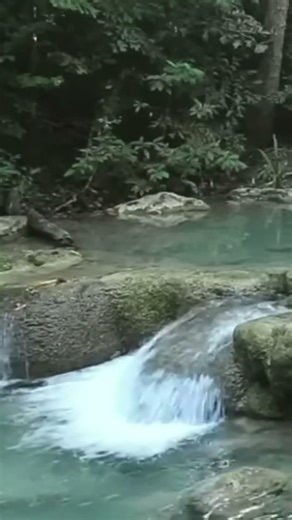 Sound Of Jungle ASMR and Waterfall View