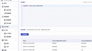 IoTDB Workbench - SQL 查询功能【时序数据库可视化平台功能演示】