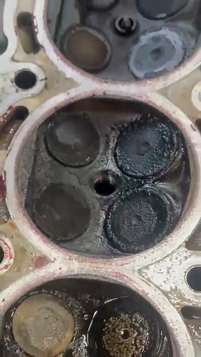 Burned Valves Expert Reveals Shocking Truth About Audi A4