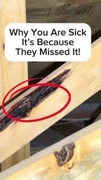 On This Episode Of F - This House Home Inspection #homeinspection #mold #howto