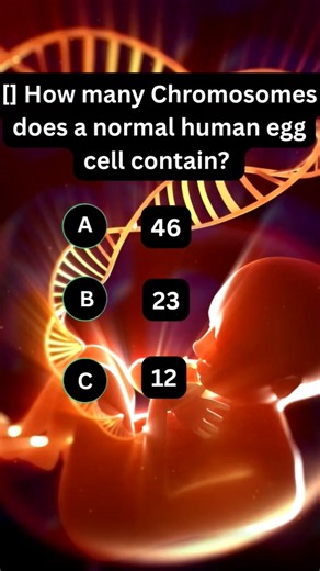 🧬🥚🤔 How Many Chromosomes Does a Human Egg Cell Contain? 🔥 #Quiz #quiztime #biology #quizreels