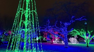 4.3K views · 165 reactions | Take a walk in a winter wonderland – Wild Lights returns this Thursday! Learn more and purchase tickets: detroitzoo.org/events/zoo-events/wild-lights/ #DetroitZoo #WildLights | Detroit Zoo | Facebook