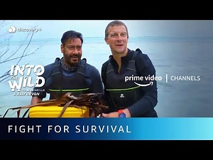 Ajay Devgan Catches A Fish | Into The Wild With Bear Grylls | Amazon Prime Video Channels