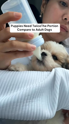 The Kibble Sack is “convenient.” But once that bag’s open, it’s all downhill. We built Mills Daily Packs for dog people who wants to give their dog only the best. ✅ Freshly sealed food. ✅ Packed daily in exact portions. ✅ Personalized for your actual dog . No more scooping. No more stale food. Just one perfect pack a day. 👉 Take the quiz. Get your dog’s plan with 50% off. | Mills Daily Packs