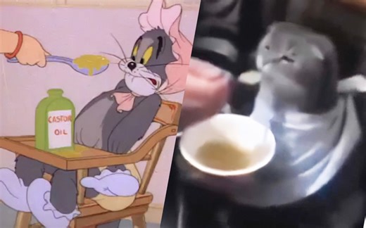 猫 和 老 鼠 诚 不 欺 我 ! ③