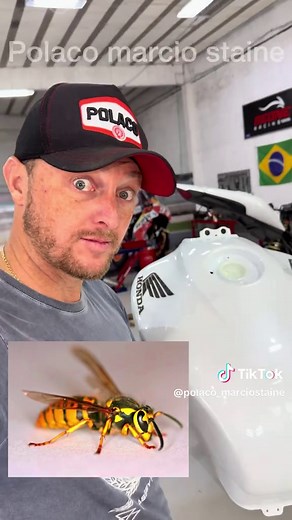 Montando a Hornet Branca: Últimos Ajustes