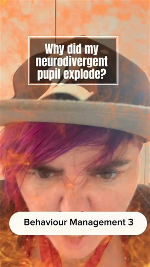 2.7K views · 208 reactions | Behaviour management 4 “Why did my #neurodivergent pupil explode?”  Often teachers will say that behaviours of concern “came from nowhere” when, in truth there is always an antecedent, behaviour and consequence. Here I explain how ABC charts can help track and calm behaviours of concern #behaviour #inclusion #send #teachersofinstagram | Neuroteachers | Facebook