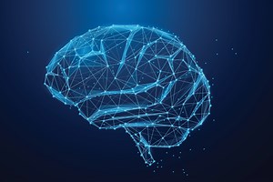 deep brain stimulation »  McKnight Brain Institute » University of Florida