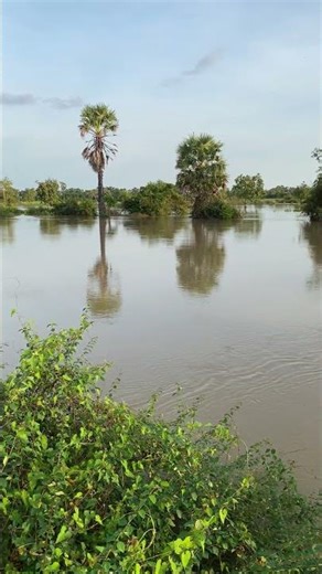 The countryside scenery is really beautiful.