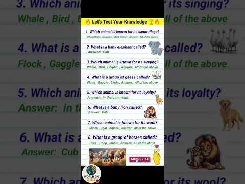 “Word GK Quiz in English | Improve Your Vocabulary with Fun Questions” | GK Questions | Puzzle